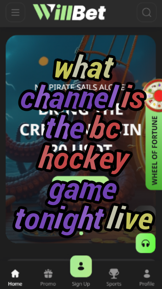 What Channel is the BC Hockey Game Tonight Live?-vz72fvrf.com